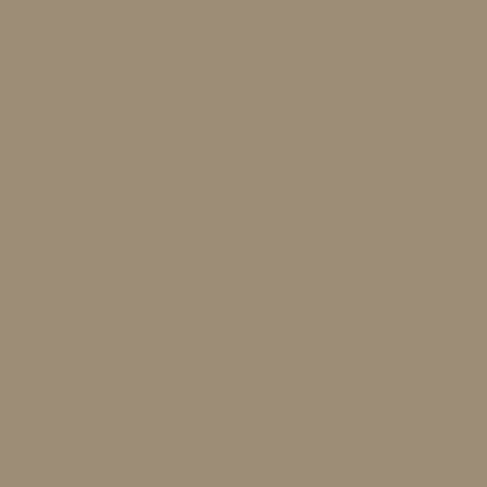 Rail 2370 Beige/Riversand